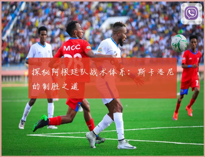 探秘阿根廷队战术体系：斯卡洛尼的制胜之道
